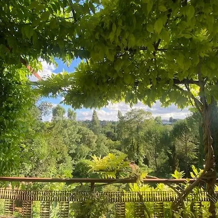 Appartement Le Tapis - Loft Avec Jardin