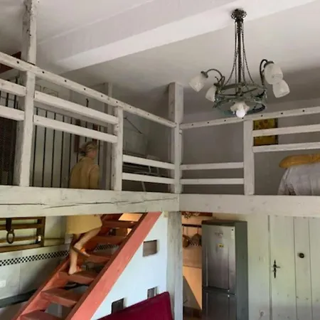 Apartment Le Tapis - Loft Avec Jardin *